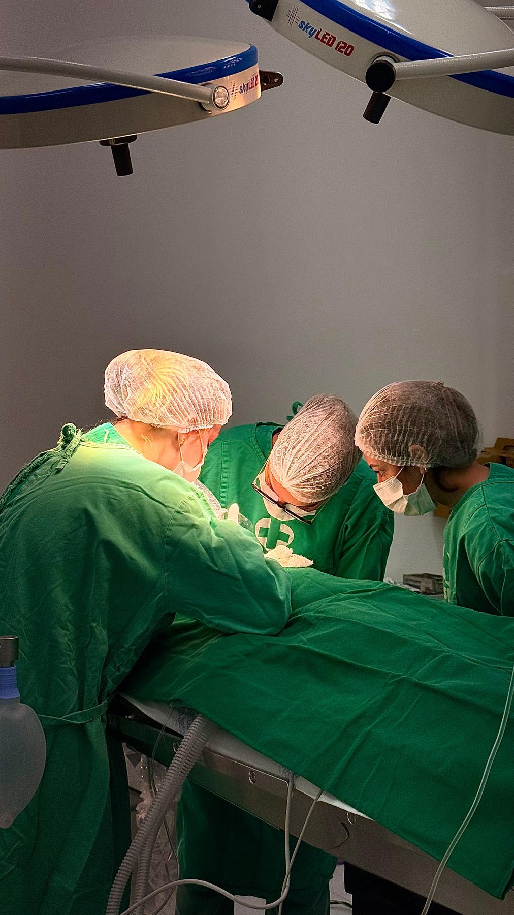 Foto: profissional responsável